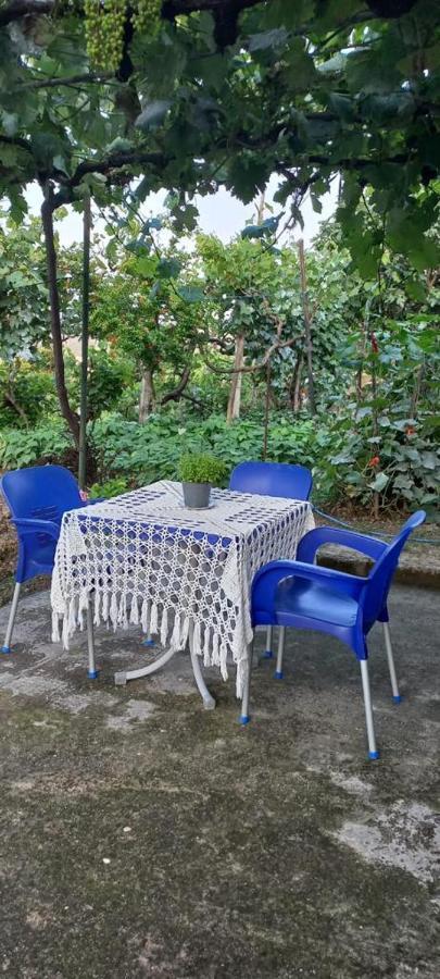 Apartament Teuta Permet Ngoại thất bức ảnh